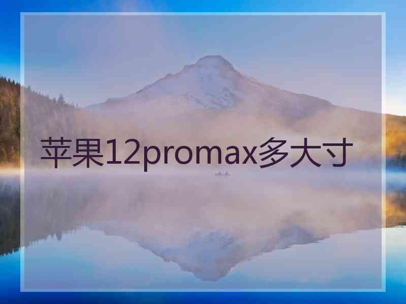 苹果12promax多大寸