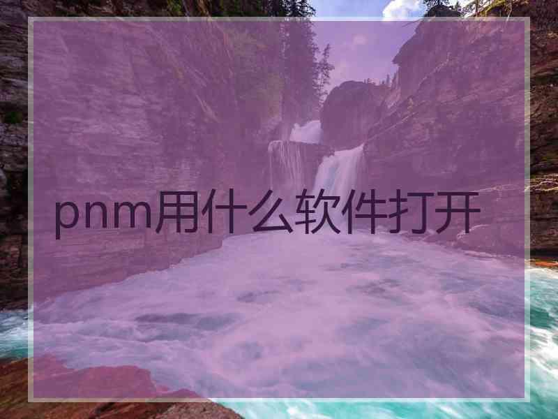 pnm用什么软件打开