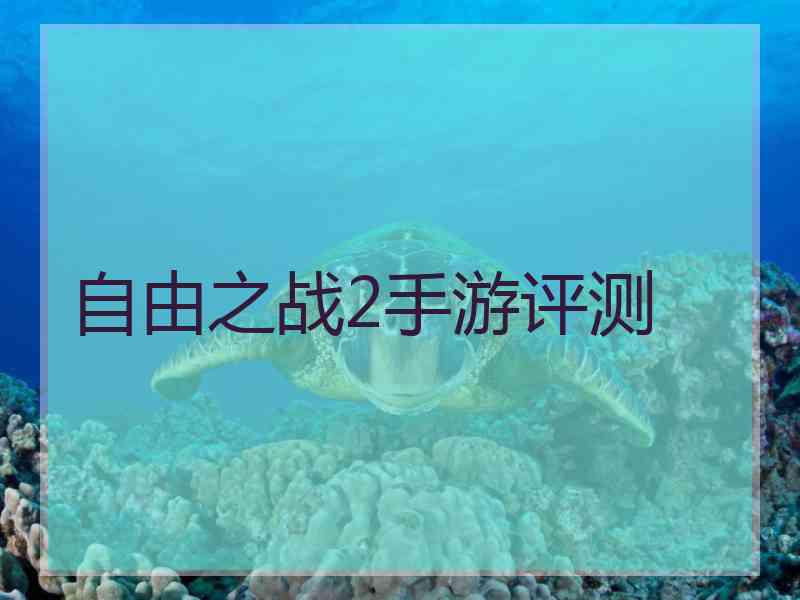 自由之战2手游评测