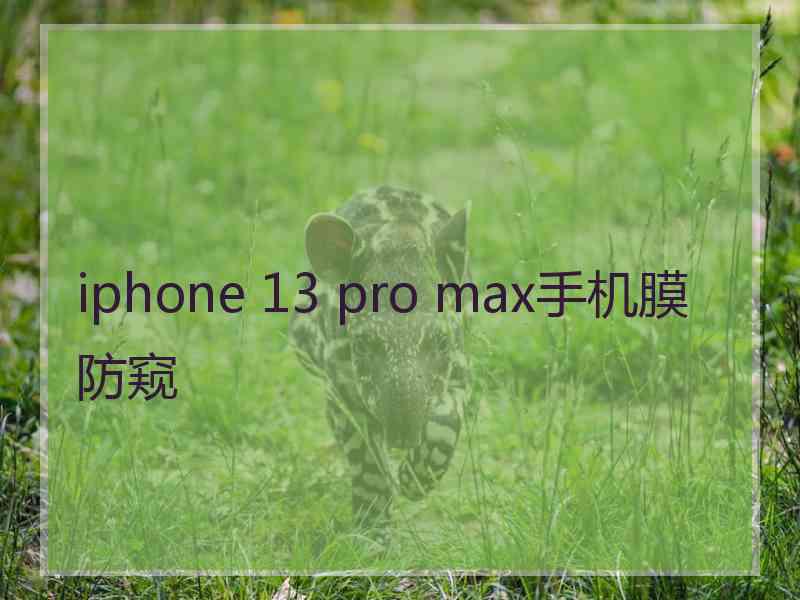 iphone 13 pro max手机膜防窥