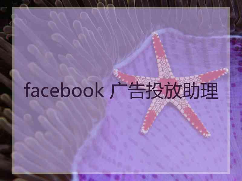 facebook 广告投放助理