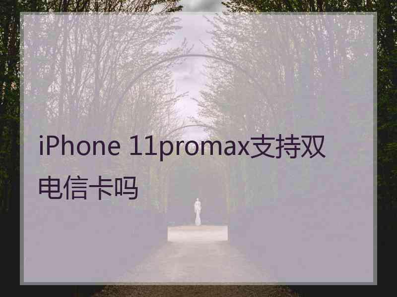 iPhone 11promax支持双电信卡吗