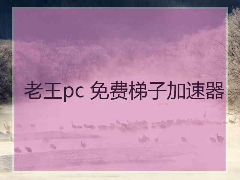 老王pc 免费梯子加速器