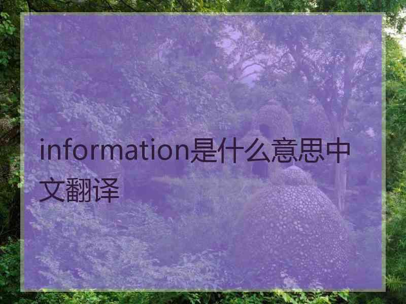 information是什么意思中文翻译