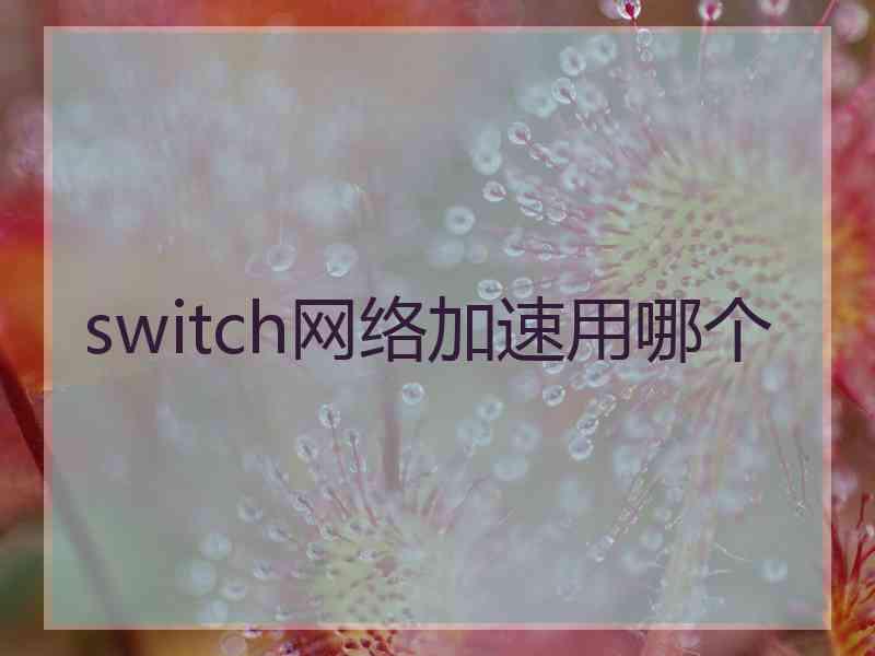 switch网络加速用哪个