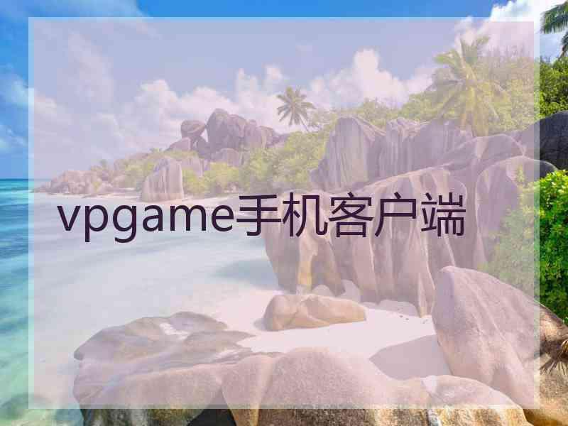 vpgame手机客户端