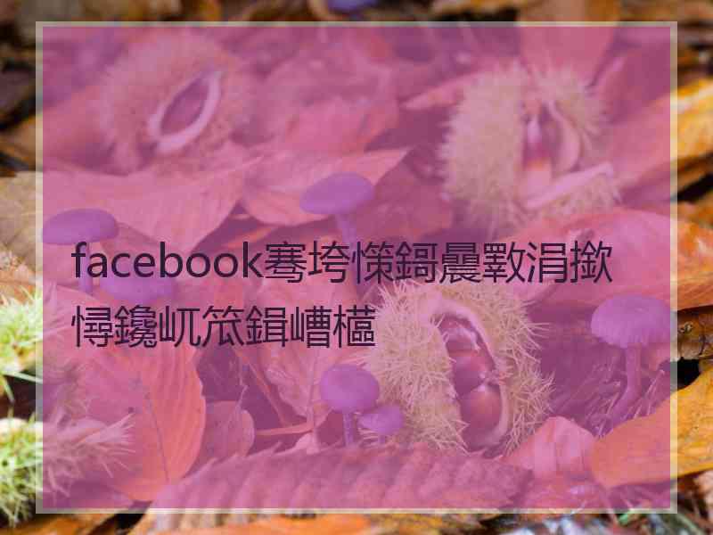 facebook骞垮憡鎶曟斁涓撳憳鑱屼笟鍓嶆櫙