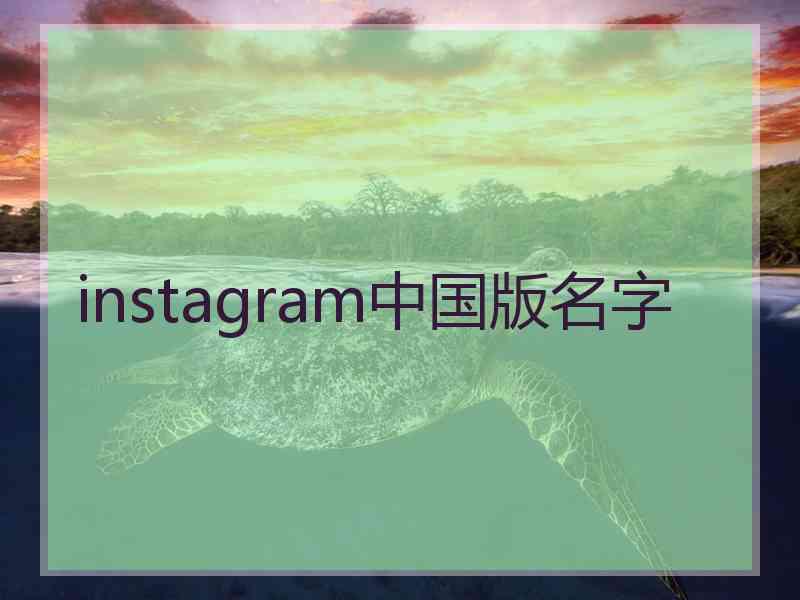 instagram中国版名字