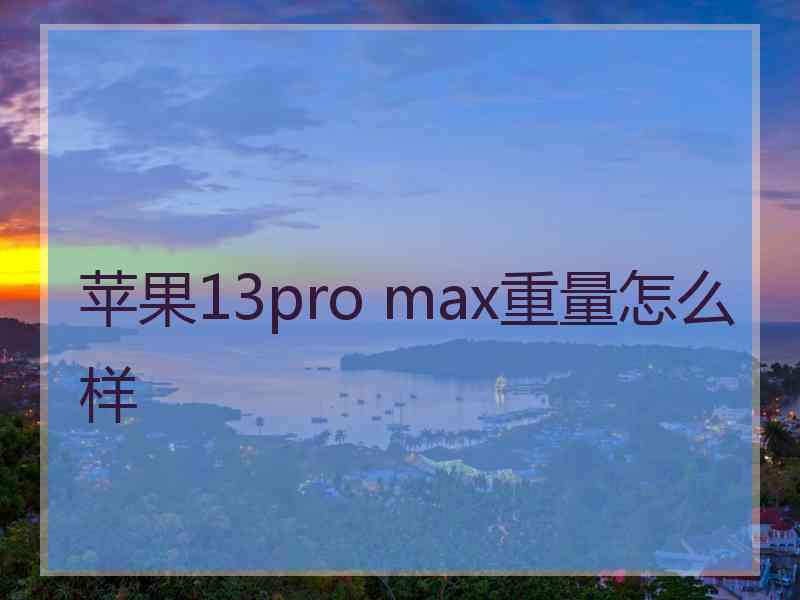 苹果13pro max重量怎么样