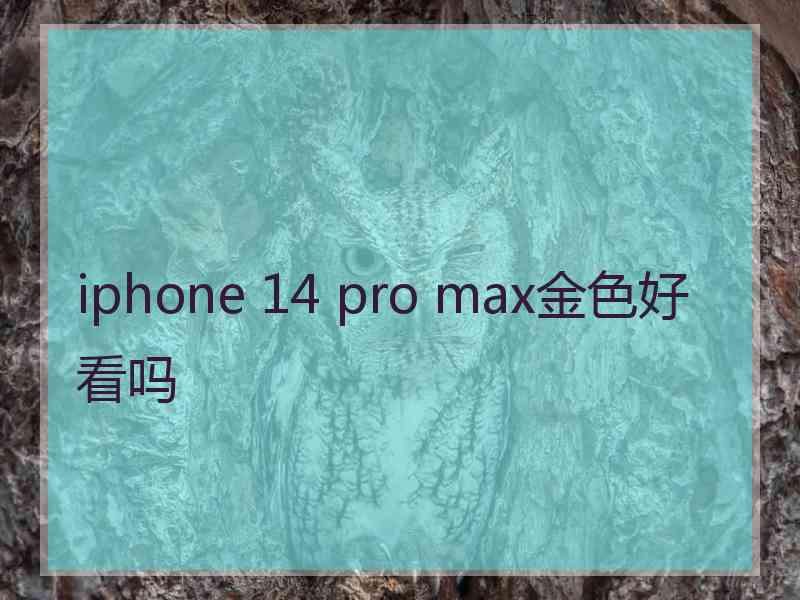 iphone 14 pro max金色好看吗