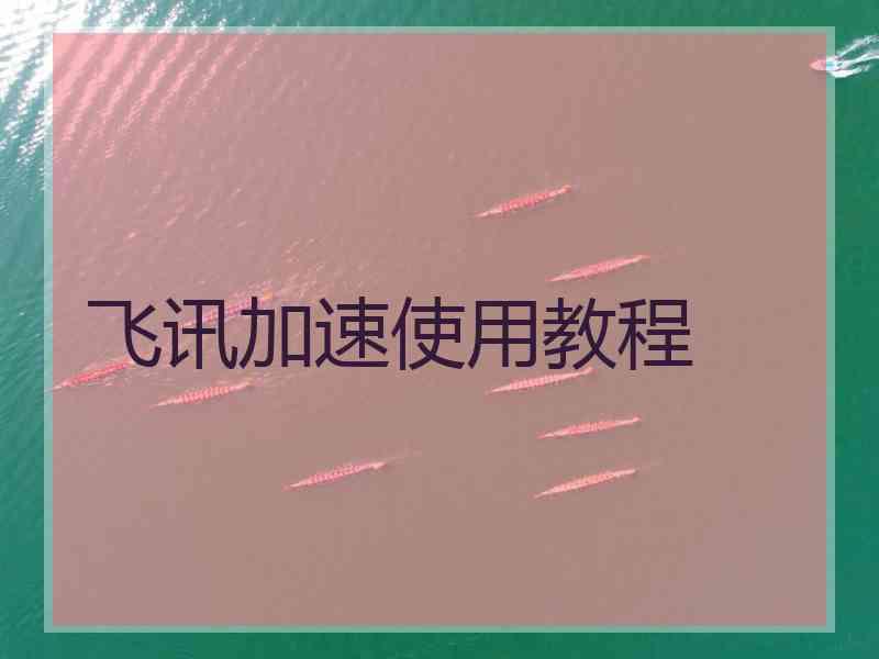 飞讯加速使用教程