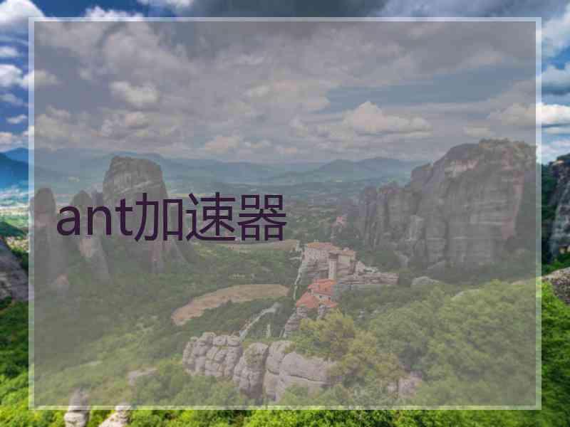 ant加速器