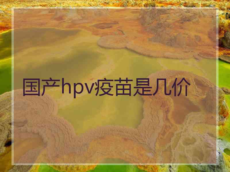 国产hpv疫苗是几价