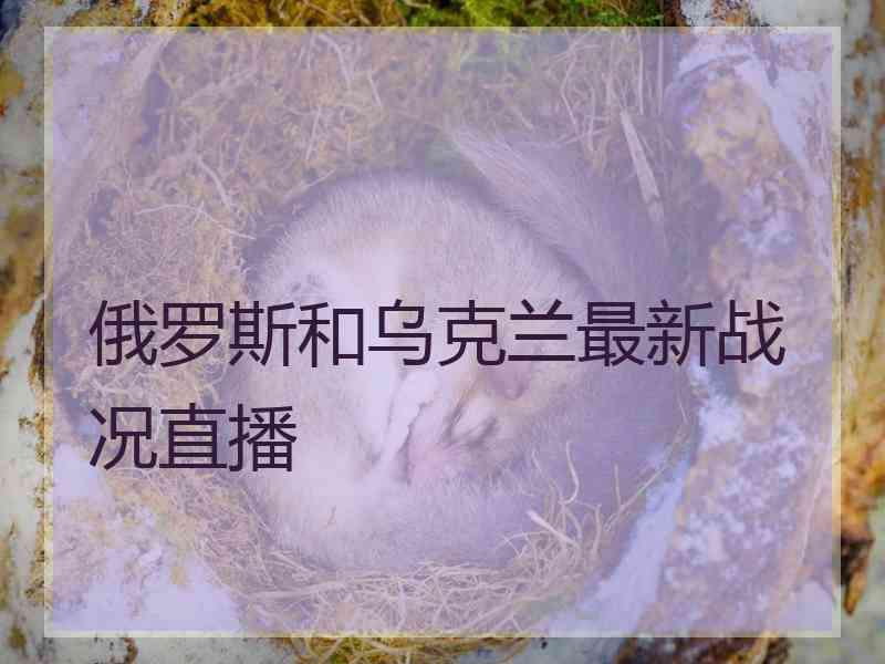 俄罗斯和乌克兰最新战况直播