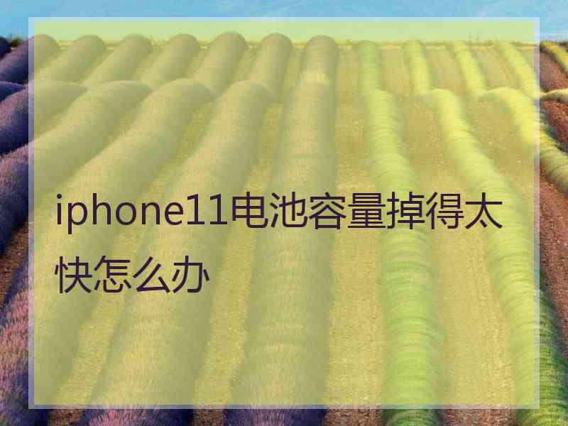 iphone11电池容量掉得太快怎么办