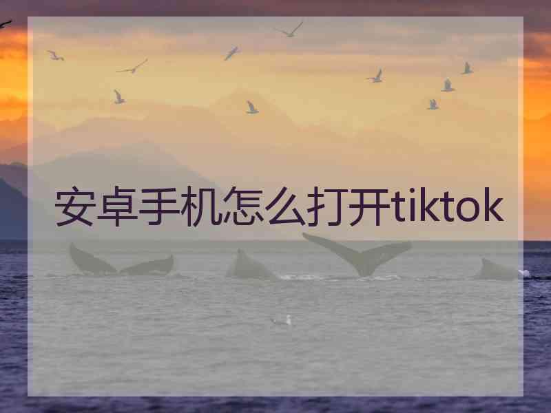 安卓手机怎么打开tiktok