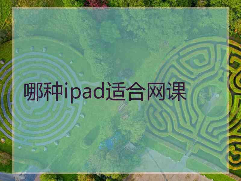 哪种ipad适合网课