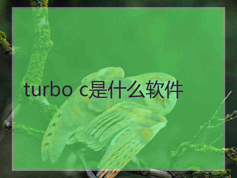 turbo c是什么软件