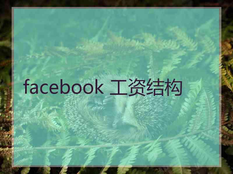 facebook 工资结构