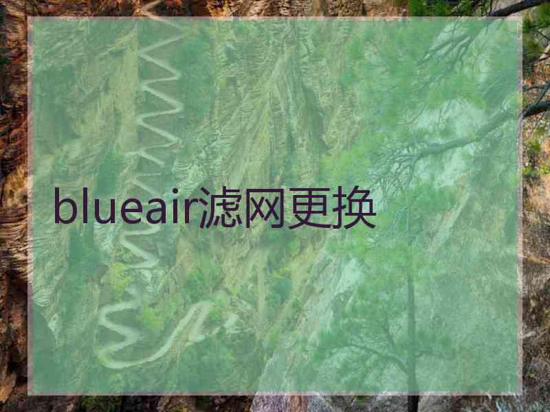 blueair滤网更换