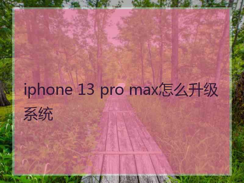 iphone 13 pro max怎么升级系统