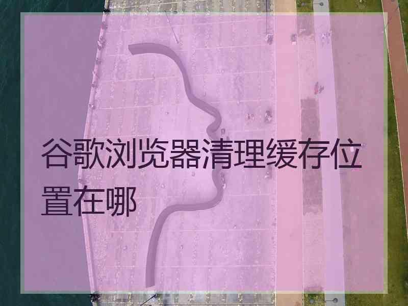 谷歌浏览器清理缓存位置在哪