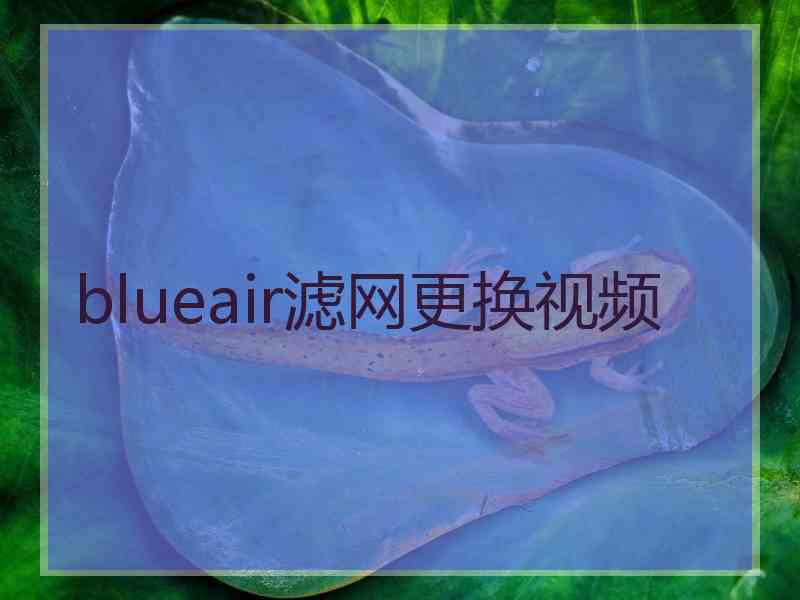 blueair滤网更换视频