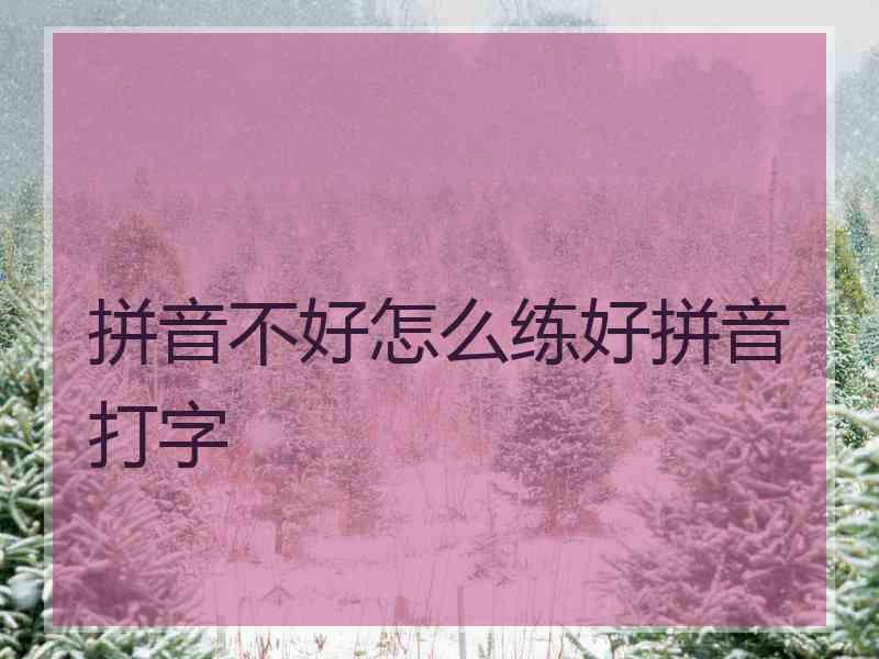 拼音不好怎么练好拼音打字