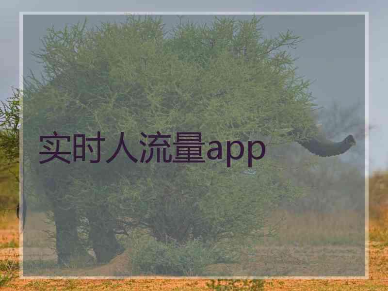 实时人流量app