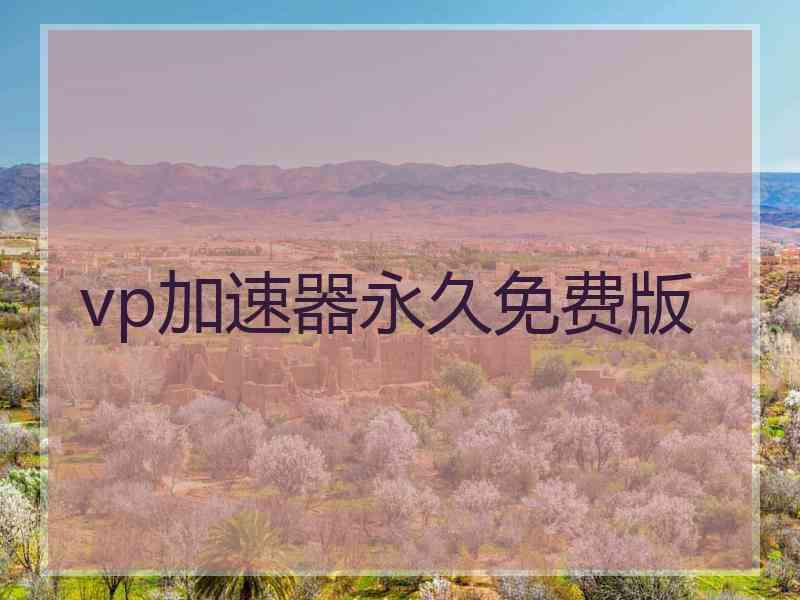 vp加速器永久免费版