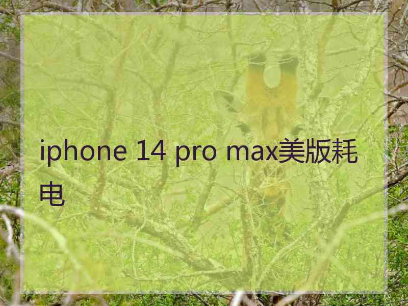 iphone 14 pro max美版耗电