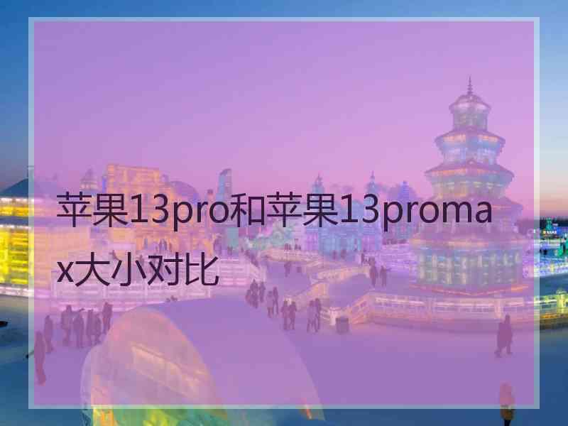 苹果13pro和苹果13promax大小对比