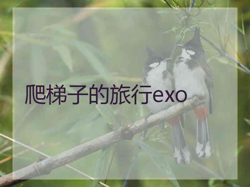 爬梯子的旅行exo