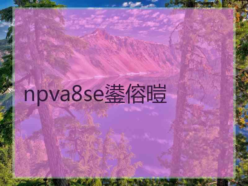 npva8se鍙傛暟