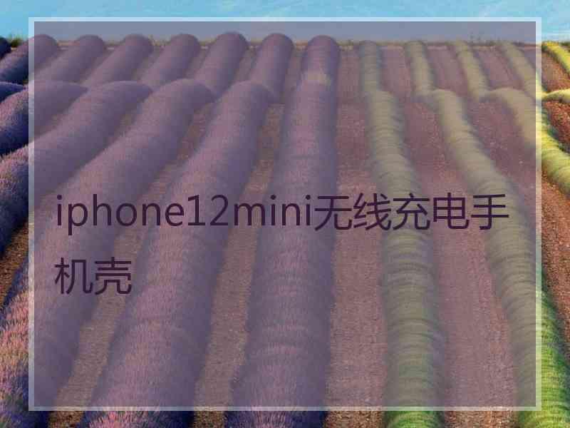 iphone12mini无线充电手机壳