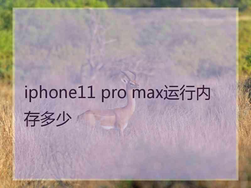 iphone11 pro max运行内存多少