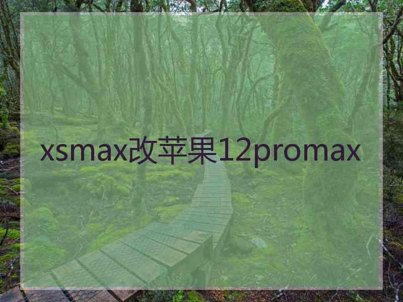 xsmax改苹果12promax