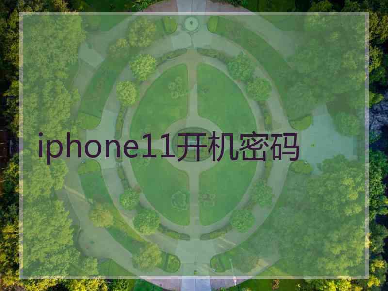 iphone11开机密码