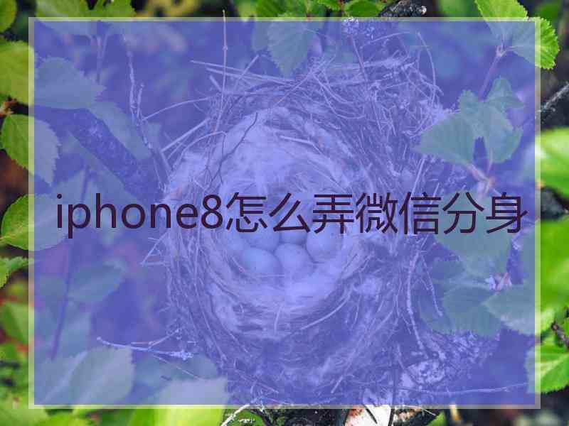 iphone8怎么弄微信分身