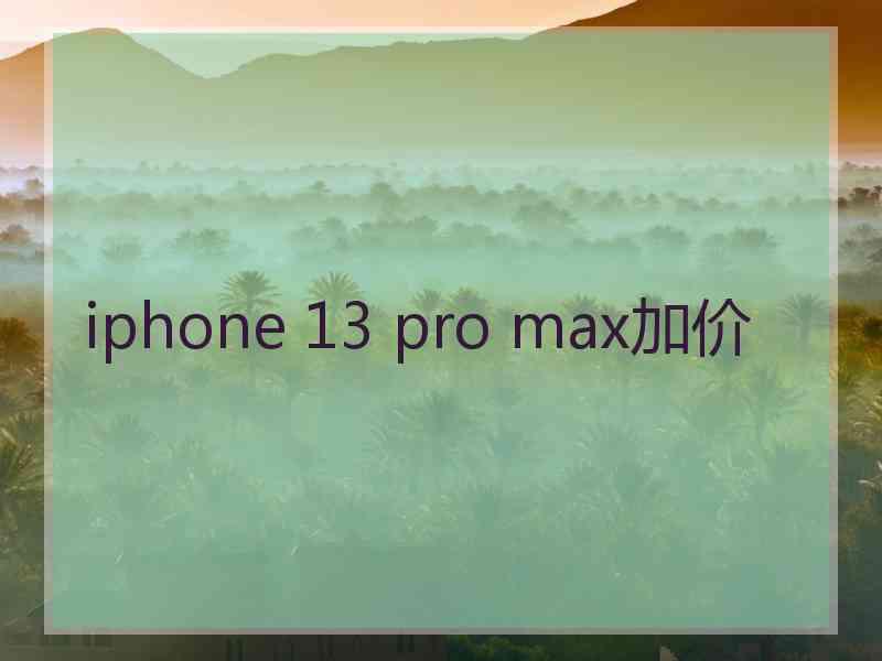 iphone 13 pro max加价