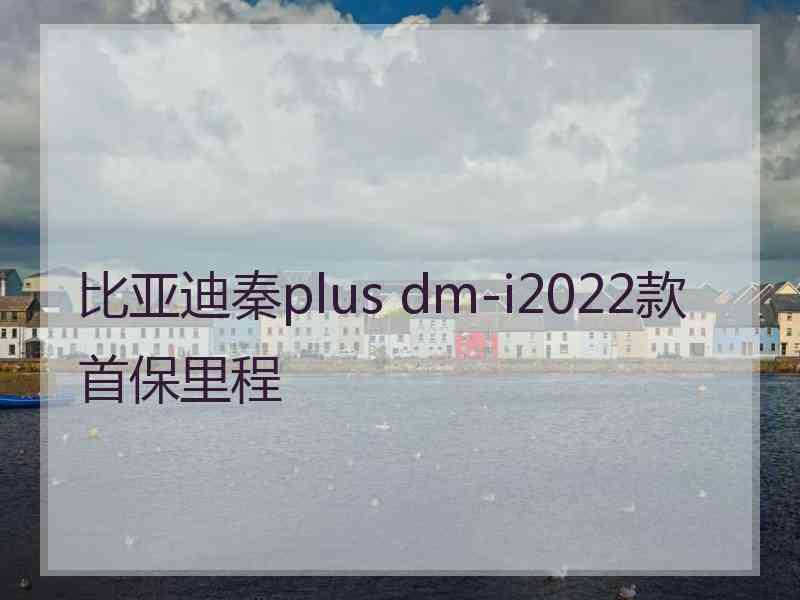 比亚迪秦plus dm-i2022款首保里程