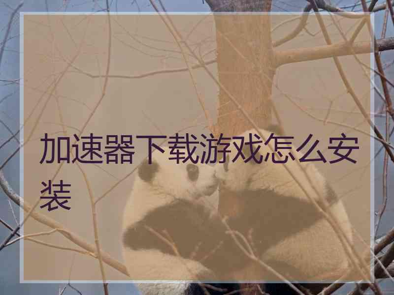 加速器下载游戏怎么安装