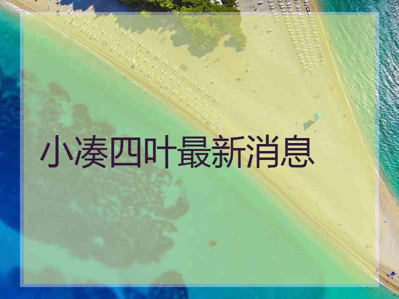 小凑四叶最新消息