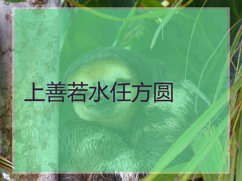 上善若水任方圆