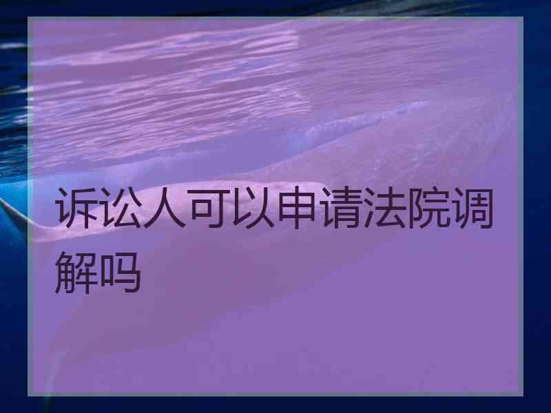 诉讼人可以申请法院调解吗