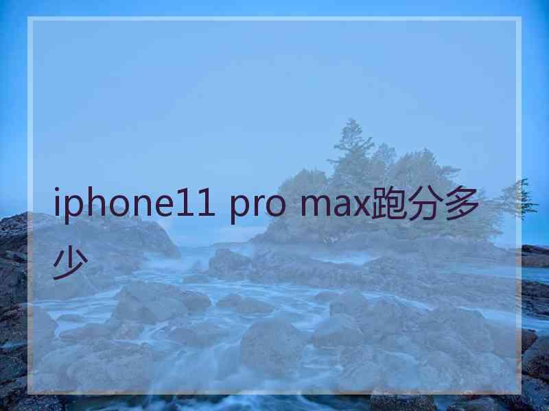 iphone11 pro max跑分多少