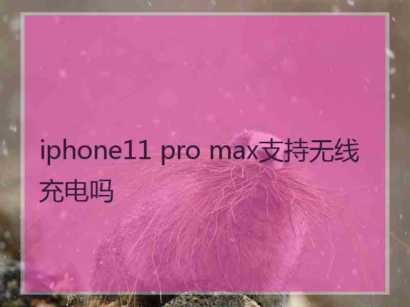 iphone11 pro max支持无线充电吗