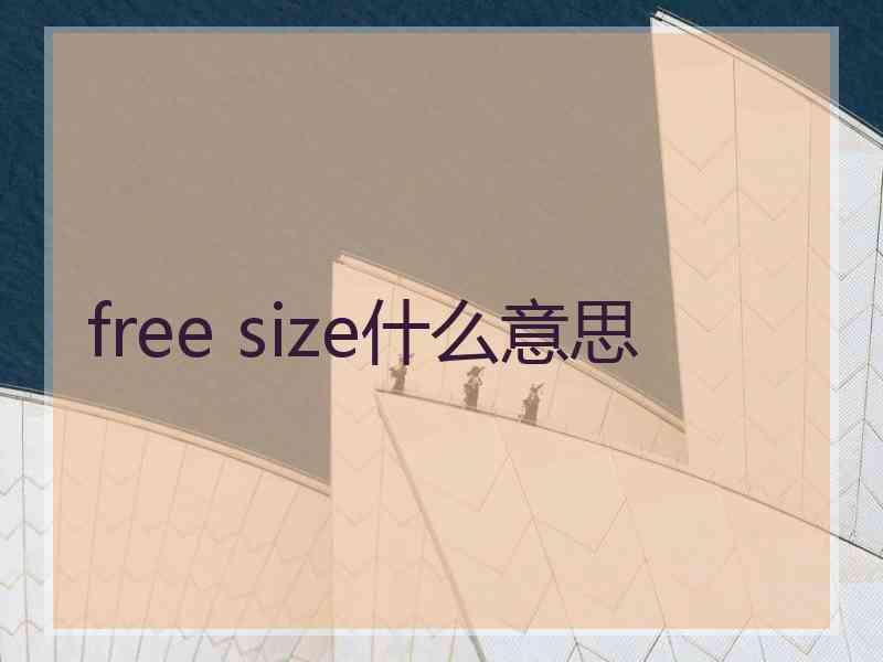 free size什么意思