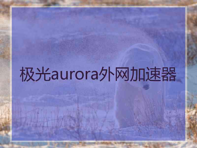 极光aurora外网加速器