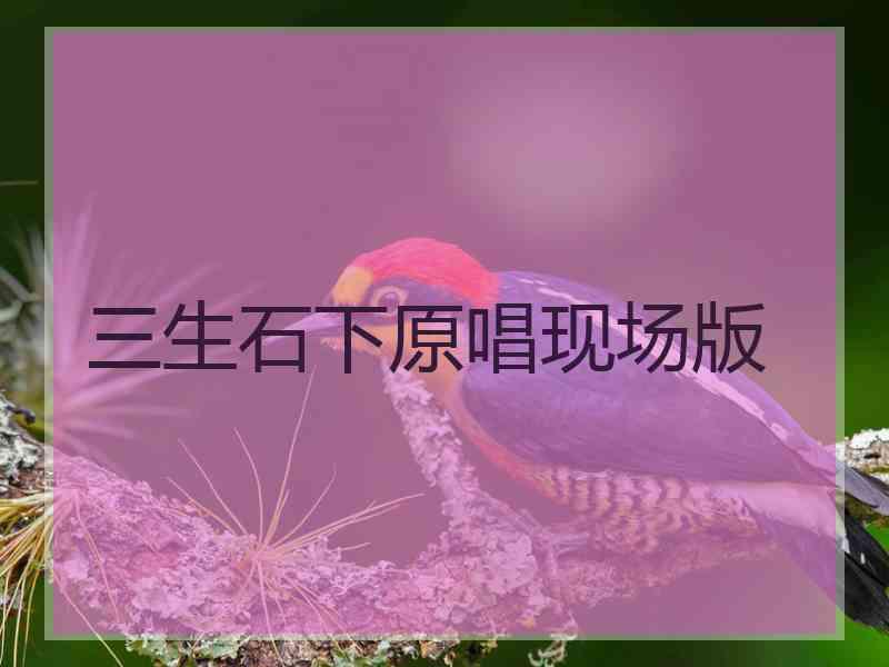 三生石下原唱现场版